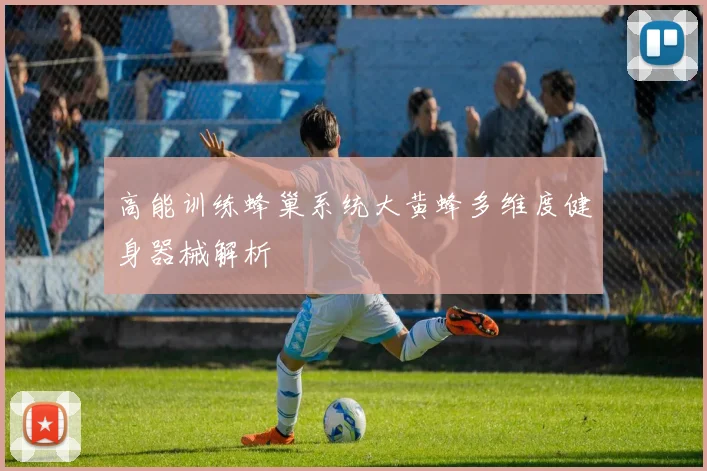 高能训练蜂巢系统大黄蜂多维度健身器械解析