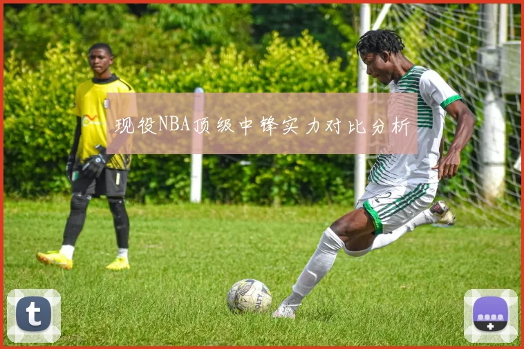 现役NBA顶级中锋实力对比分析