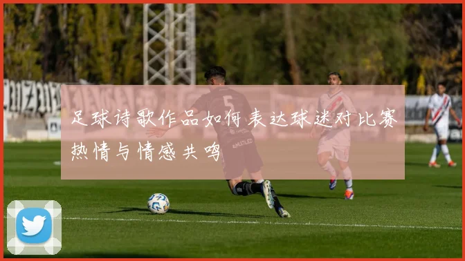 足球诗歌作品如何表达球迷对比赛热情与情感共鸣