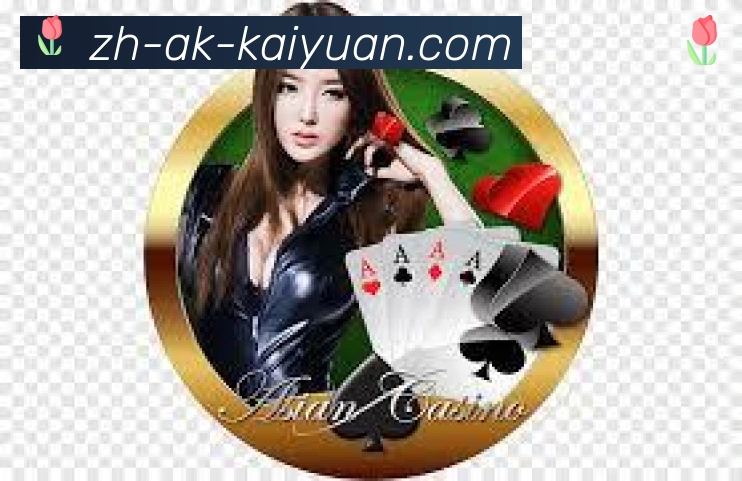 未来规划